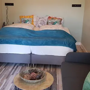 https://jabaki-green-studio.zandvoort-hotels.com